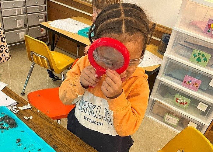 Image is of a young elementary aged girl looking at an owl pellet through a red magnifying glass